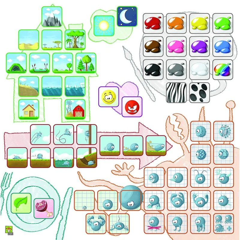 ASMODEE Concept Kids : Animaux 5 ASMODEE Concept Kids : Animaux – Image 3