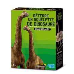 4M Kit Archéologie - Déterre Ton Dinosaure - Brachiosaure