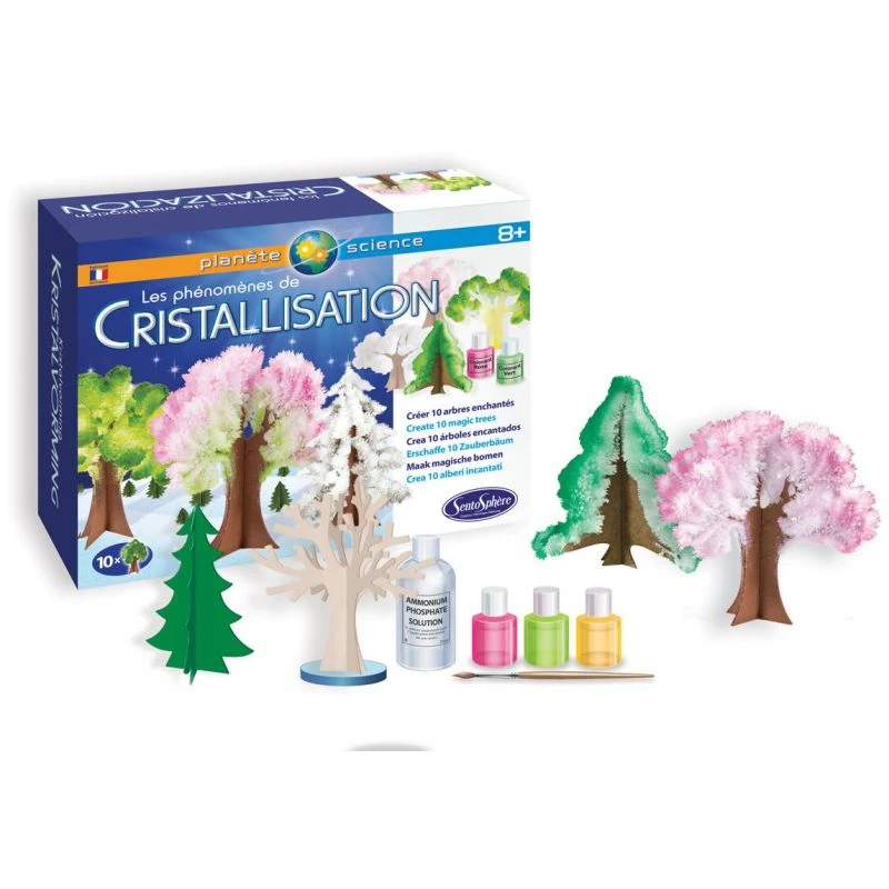 Les Phénomènes De Cristallisation 4 Les Phénomènes De Cristallisation – Image 2